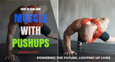 Build Stronger Arms: Effective Pushup Techniques for Muscle Growth