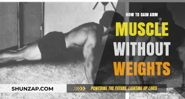 Build Stronger Arms: Effective Bodyweight Exercises for Muscle Growth