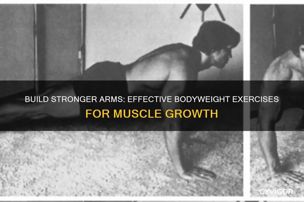 how to gain arm muscle without weights