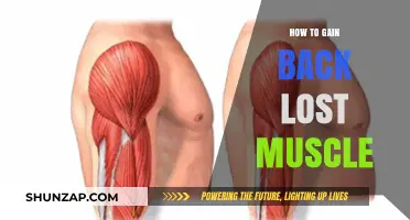 Regain Lost Muscle: Proven Strategies for Rebuilding Strength and Size