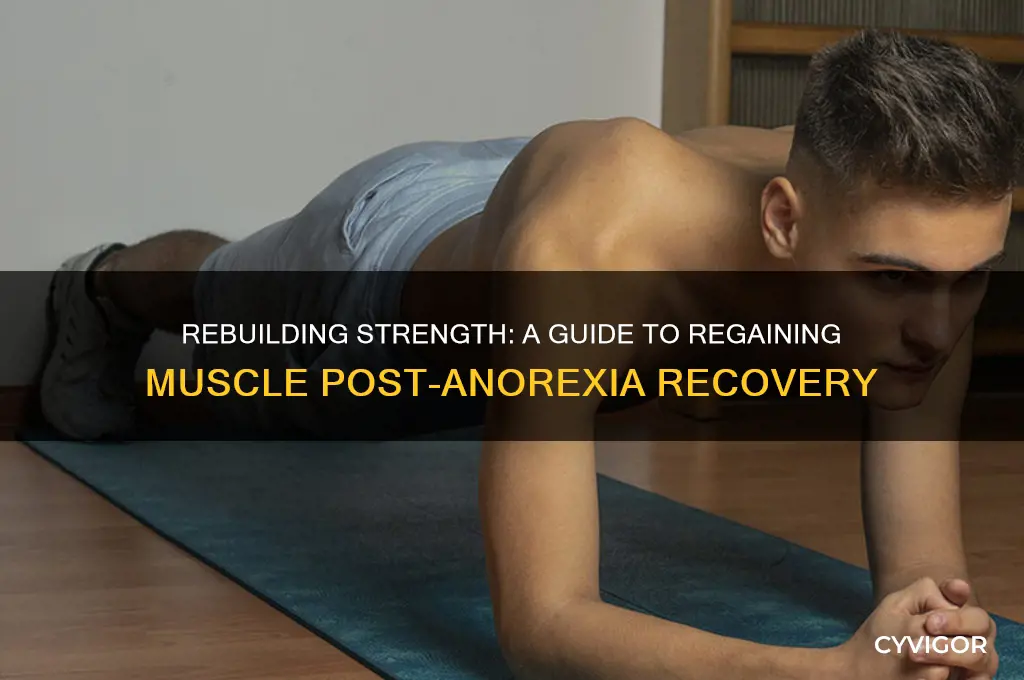how to gain back muscle after anorexia