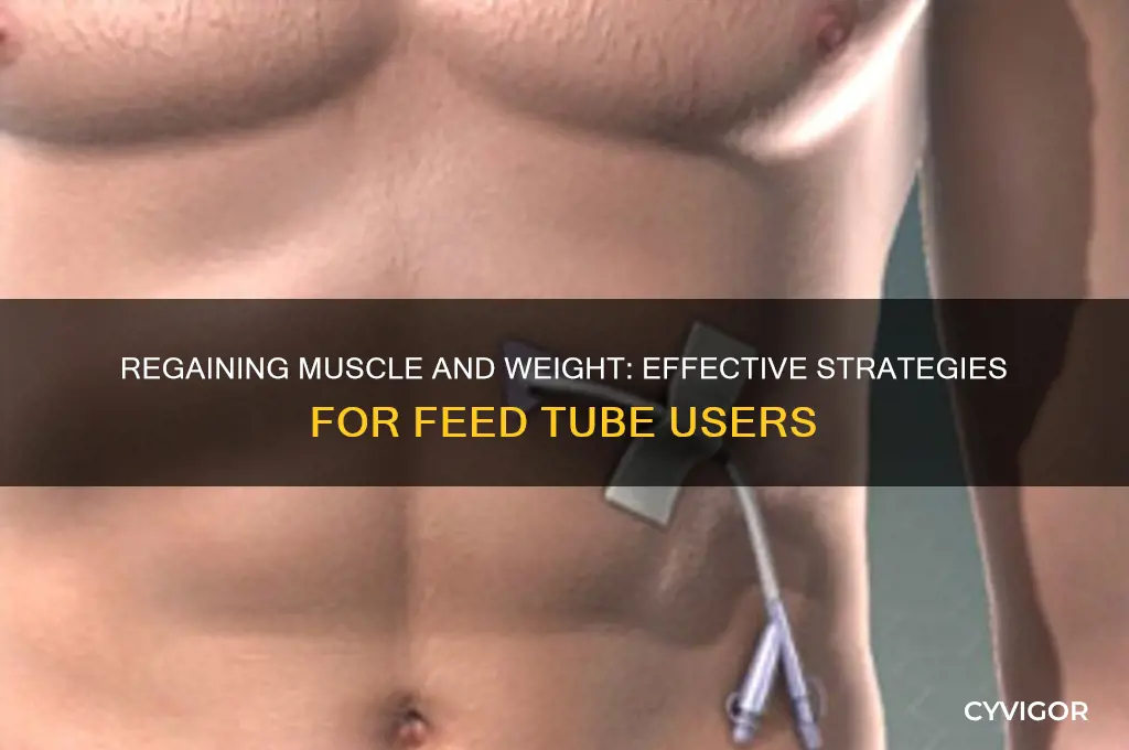 how to gain back muscle and weight on feed tube