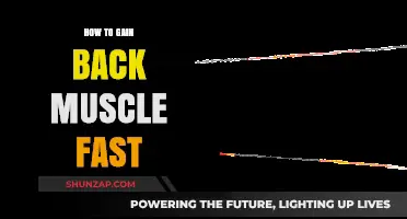 Rapid Muscle Recovery: Proven Strategies to Rebuild Strength Quickly
