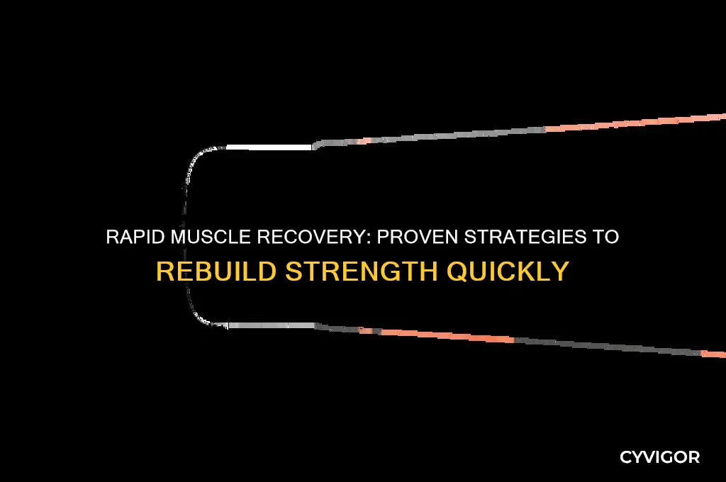 how to gain back muscle fast