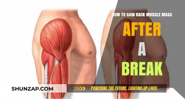 Rebuilding Strength: Effective Strategies to Regain Lost Muscle Mass Post-Break