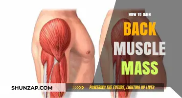 Regain Muscle Mass: Proven Strategies for Rebuilding Strength and Size