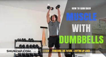 Rebuild Strength: Effective Dumbbell Strategies to Regain Lost Muscle Mass