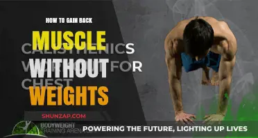 Rebuild Strength: Effective Bodyweight Strategies to Regain Lost Muscle Mass