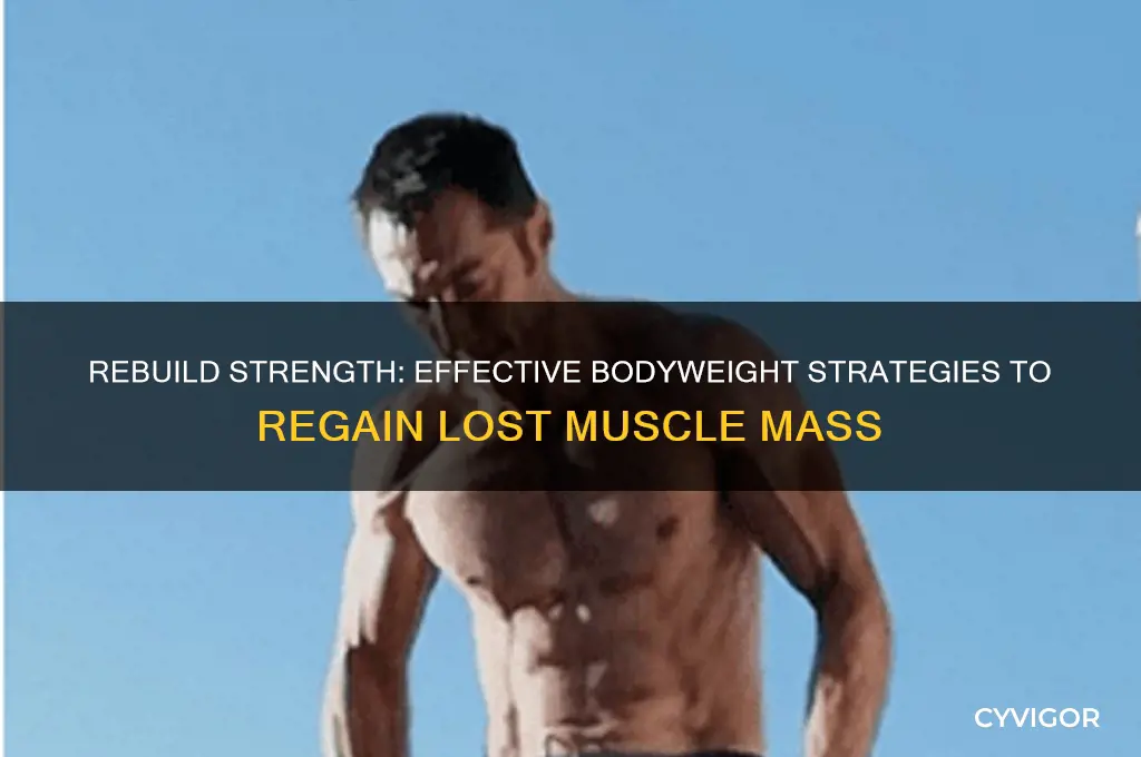 how to gain back muscle without weights