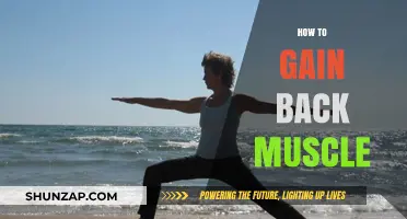 Effective Strategies to Regain Lost Muscle Mass and Strength