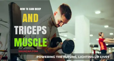 Effective Strategies for Building Bigger Biceps and Triceps Fast