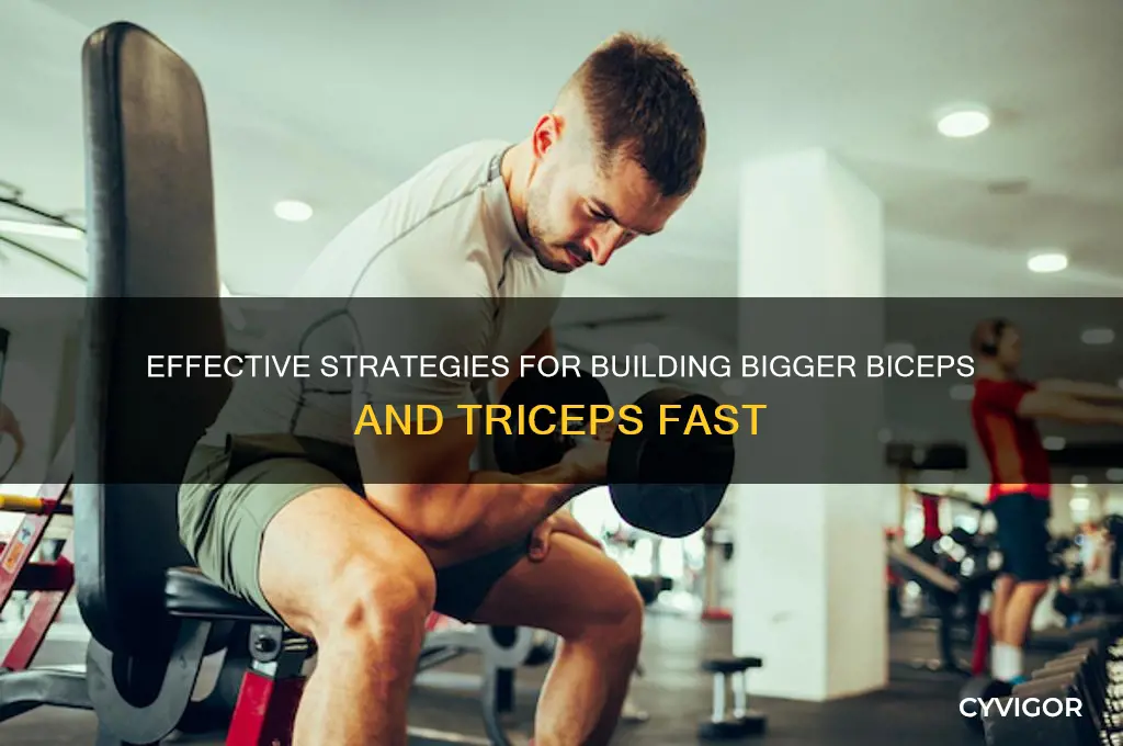 how to gain bicep and triceps muscle