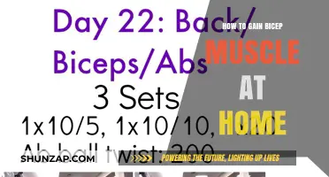 Effective Home Workouts for Building Bigger Biceps Fast and Easy