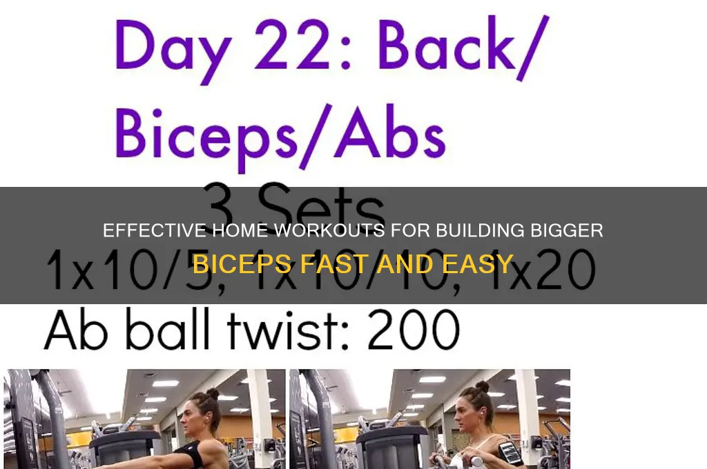how to gain bicep muscle at home