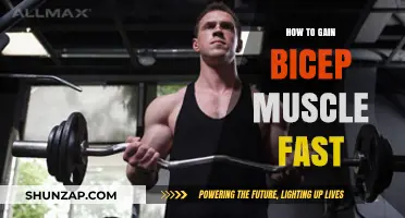 Effective Strategies for Rapid Bicep Muscle Growth and Strength