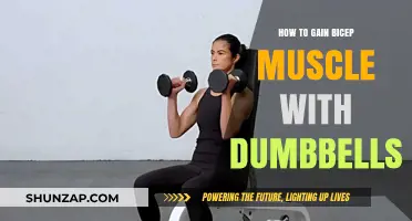 Effective Dumbbell Exercises to Build Bigger, Stronger Biceps Fast