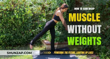 Build Bigger Biceps: Effective Bodyweight Exercises for Muscle Growth