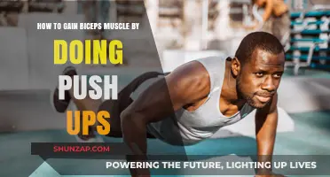 Build Bigger Biceps: Push-Up Techniques for Arm Muscle Growth