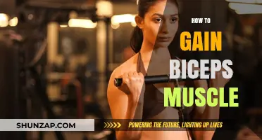 Effective Biceps Building: Proven Tips for Bigger, Stronger Arms Fast
