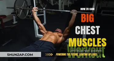 Build a Bigger Chest: Proven Workouts and Tips for Maximum Growth