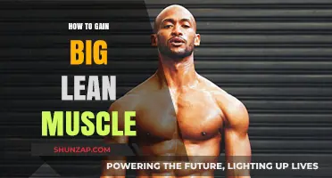 Effective Strategies for Building Big, Lean Muscle Mass Naturally