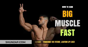 Maximize Muscle Growth: Proven Strategies for Fast, Effective Results