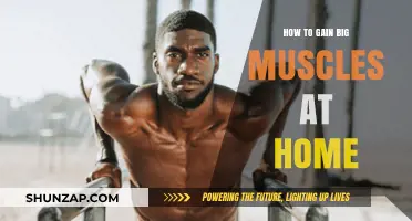 Build Massive Muscles at Home: Effective Workouts and Tips