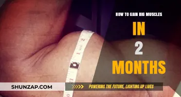 Rapid Muscle Growth: 2-Month Plan for Bigger, Stronger Muscles