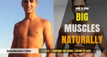 Natural Muscle Building: Proven Strategies for Bigger, Stronger Muscles