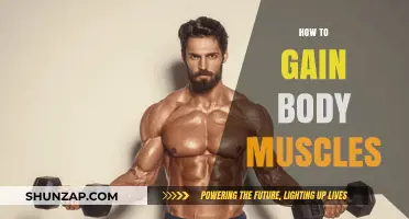 Effective Strategies for Building Lean Muscle Mass Naturally
