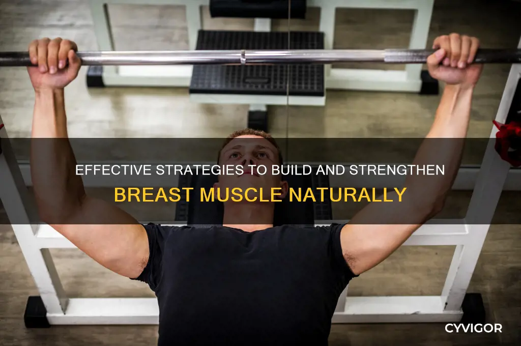 how to gain breast muscle