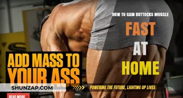 Effective Home Workouts for Building Bigger Buttocks Quickly