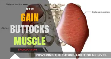 Effective Buttocks Muscle Building: Exercises, Nutrition, and Tips for Growth
