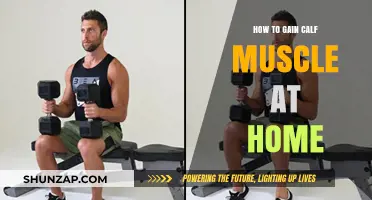Effective Home Workouts to Build Stronger Calf Muscles Fast