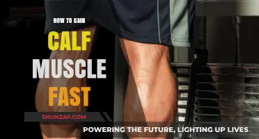 Effective Calf Muscle Building: Quick Tips for Fast Growth and Strength