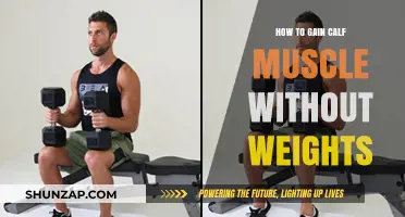 Effective Calf Muscle Building Techniques Without Weights: A Comprehensive Guide