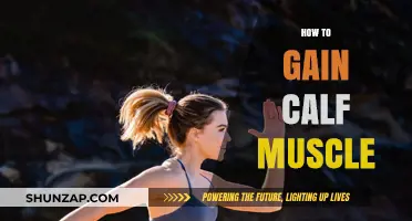 Effective Calf Muscle Building: Tips, Exercises, and Strategies for Growth