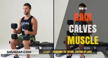 Effective Calf Muscle Building: Tips, Exercises, and Strategies for Growth