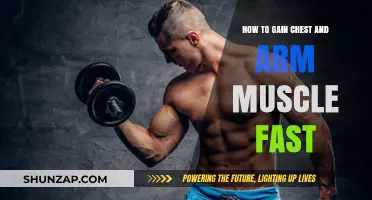 Build Bigger Chest and Arms: Fast Muscle-Building Strategies Revealed