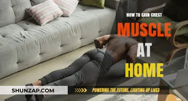 Effective Home Workouts to Build a Stronger Chest Muscle