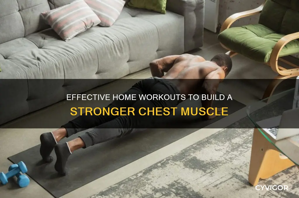 how to gain chest muscle at home