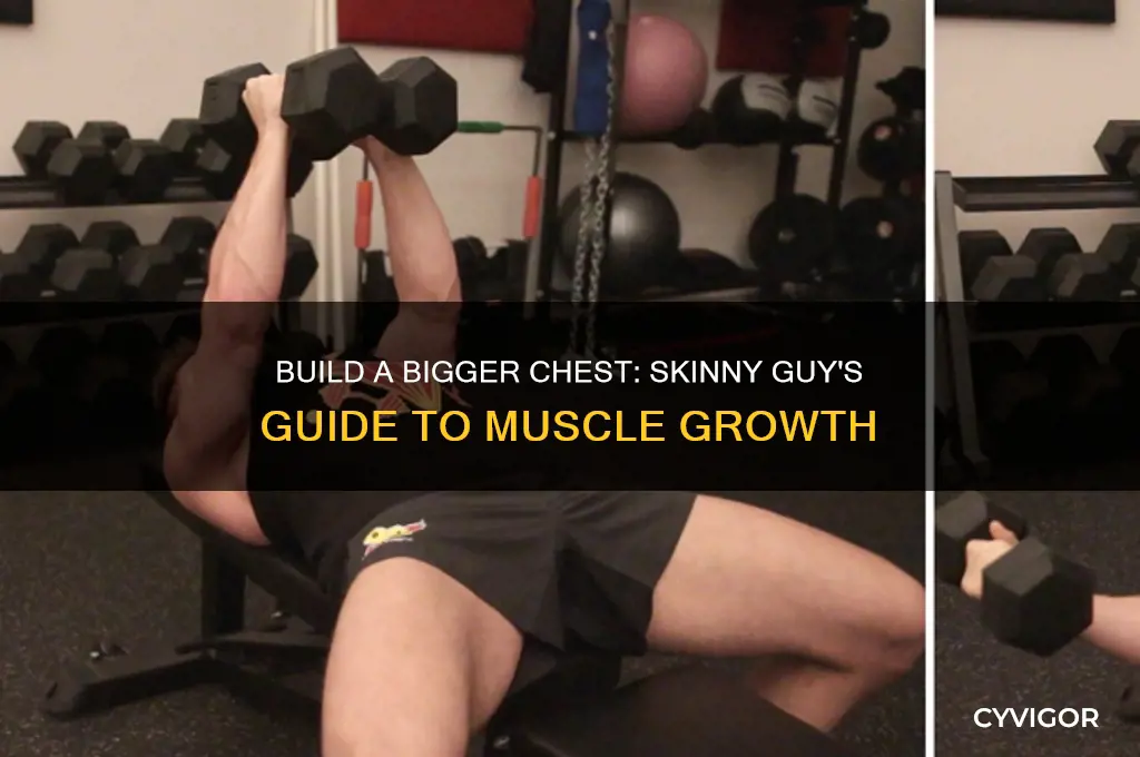 how to gain chest muscle for skinny guys