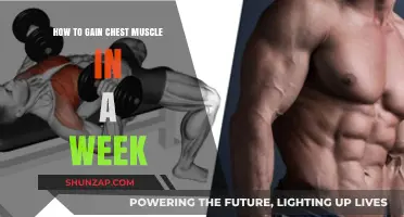 Quick Chest Muscle Growth: Effective Strategies for Visible Results in a Week