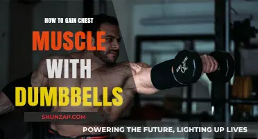 Effective Dumbbell Workouts for Building a Stronger, Bigger Chest