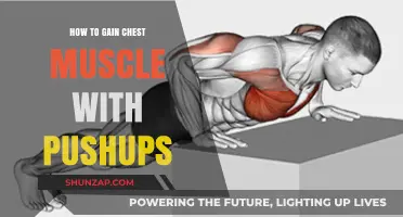 Build a Stronger Chest: Effective Pushup Techniques for Muscle Growth