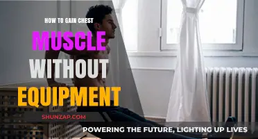 Build a Stronger Chest at Home: Equipment-Free Muscle-Building Tips