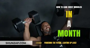 Effective Chest Muscle Building: One-Month Transformation Guide