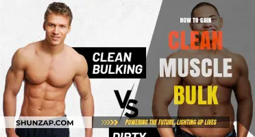 Effective Strategies for Building Clean Muscle Mass Naturally