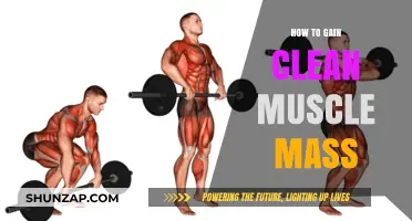 Effective Strategies for Building Clean Muscle Mass Naturally