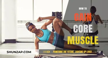 Effective Core Muscle Building: Essential Tips for Strength and Stability